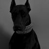 pearla651